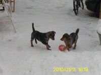 Justus und Mikka im Schnee