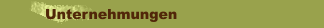 Unternehmungen